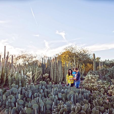 Holiday Inn Express & Suites - Phoenix - Airport North By Ihg Exteriör bild