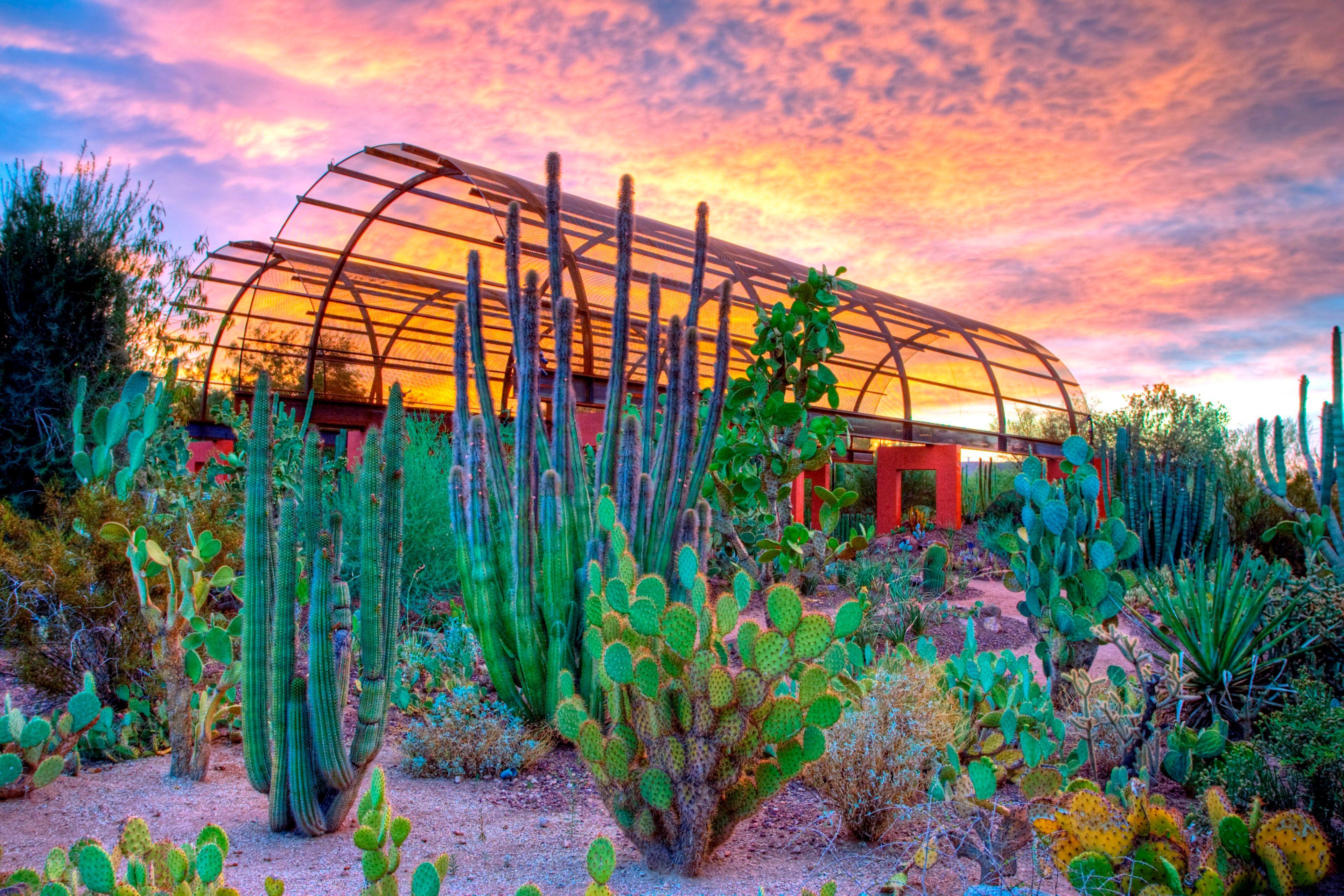 Holiday Inn Express & Suites - Phoenix - Airport North By Ihg Exteriör bild