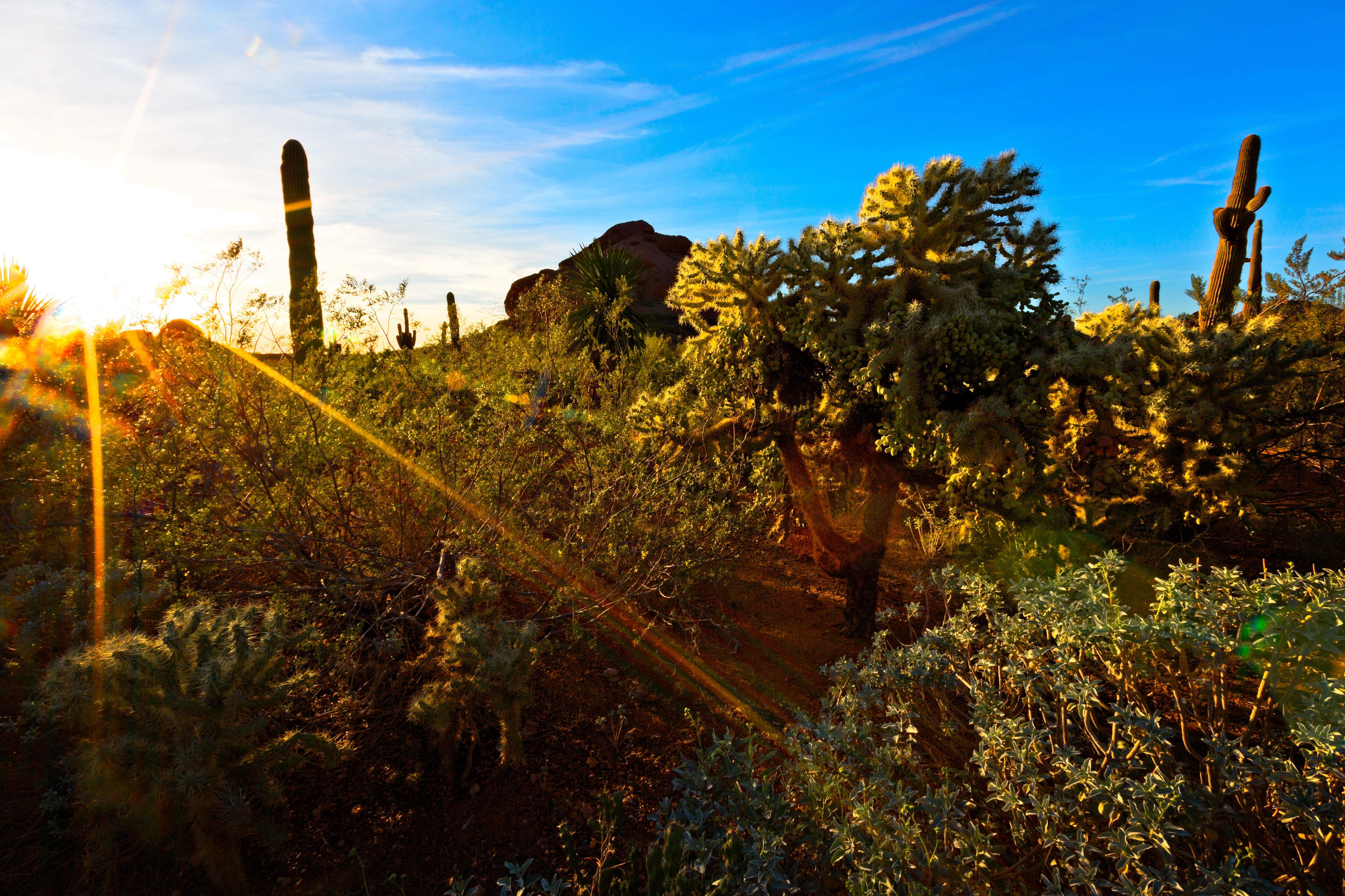 Holiday Inn Express & Suites - Phoenix - Airport North By Ihg Exteriör bild